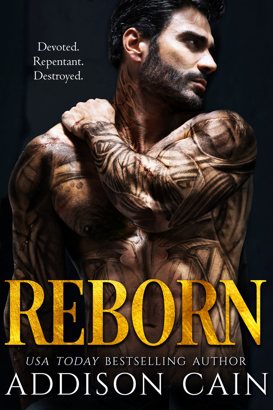 Reborn Audiobook